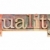 kwaliteit · woord · type · geïsoleerd · tekst - stockfoto © PixelsAway