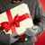 Christmas present stock photo © pressmaster