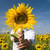 sonnig · Sonnenblumen · Bild · weiblichen · versteckt · Gesicht - stock foto © pressmaster