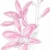 rosa · Lily · hermosa · primavera · resumen · fondo - foto stock © pressmaster