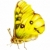 amarelo · pintura · borboleta · branco · primavera · natureza - foto stock © pressmaster