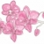 rosa · orquídeas · belo · galho · orquídea · primavera - foto stock © pressmaster
