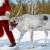 Santa stock photo © pressmaster