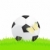 Ball · Schmetterling · Fußball · Gras · abstrakten · Fußball - stock foto © pressmaster