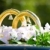 trouwringen · groot · bruiloft · gouden · ringen - stockfoto © pressmaster