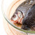 Uncooked fish stock photo © pressmaster