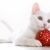 猫 · 赤 · おもちゃ · 画像 · 白 · ボール - ストックフォト © pressmaster