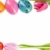Pâques · carte · cadre · up · tulipes · œufs · de · Pâques - photo stock © pressmaster