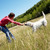 oynamak · fotoğraf · kadın · köpek · şube - stok fotoğraf © pressmaster
