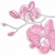 rosa · orquídea · flores · primavera · casamento · abstrato - foto stock © pressmaster