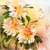 花 · 咲く · 絵画 · 明るい · 蝶 · 飛行 - ストックフォト © pressmaster