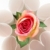 Floral decoration stock photo © pressmaster