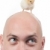 Baby bird on head stock photo © pressmaster