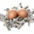 brown eggs in nest made of shredded dollars stock photo © pterwort