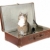 pisică · vechi · valiză · alb · vară - imagine de stoc © pterwort