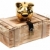 golden piggybank on wooden case locked with padlock stock photo © pterwort