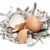 nest made of shredded dollar bank notes and broken eggshell stock photo © pterwort
