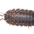 Brown big wood louse - Porcellio scaber stock photo © pzaxe