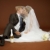 mariée · marié · baiser · potable · champagne · vin - photo stock © pzaxe
