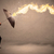 Business man defending himself from a fire arrow with an umbrell stock photo © ra2studio