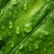 капли · воды · зеленый · лист · природы · зеленый · обои · завода - Сток-фото © radoma