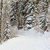 Winter Footpath stock photo © RazvanPhotography