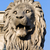 Lion Sculpture on Chain Bridge in Budapest stock photo © rognar