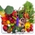 cesta · de · la · compra · frutas · hortalizas · aislado · blanco · foto - foto stock © RTimages