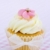 Pink and white cupcake stock photo © RuthBlack
