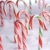 Christmas Candy Canes in the snow portrait stock photo © saje