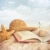 Straw hat , book and seashells in the sand stock photo © Sandralise