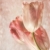 тюльпаны · Vintage · чувство · розовый · бумаги - Сток-фото © Sandralise