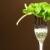 Leaf of lettuce on a fork stock photo © Sandralise