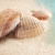 conchas · molhado · areia · pequeno · praia · água - foto stock © Sandralise