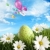 復活節彩蛋 · 草 · 雛菊 · 裝飾 · 復活節 · 花 - 商業照片 © Sandralise
