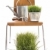 jardim · ferramentas · regador · madeira · cadeira · branco - foto stock © Sandralise