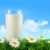 Glass of milk in the grass with daisies stock photo © Sandralise