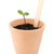 Seedling grows in a terracotta pot with a blank plant label stock photo © sarahdoow