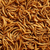Pile of dried mealworms stock photo © sarahdoow