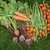 vegetal · jardim · cenouras · corredor · feijões - foto stock © sarahdoow