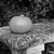 Small gourd on a stone bench stock photo © sarahdoow