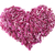 Shredded red cabbage in a heart shape stock photo © sarahdoow