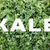 KALE text over shredded kale leaves background stock photo © sarahdoow