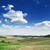 field stock photo © Serg64