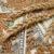 buğday · dolar · para · nakit - stok fotoğraf © simazoran