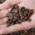 Coffee stock photo © simazoran