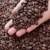 Coffee stock photo © simazoran