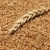blé · alimentaire · fond · ferme · stock -  © simazoran