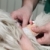 Veterinary stock photo © simazoran