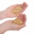 Wheat concept stock photo © simazoran